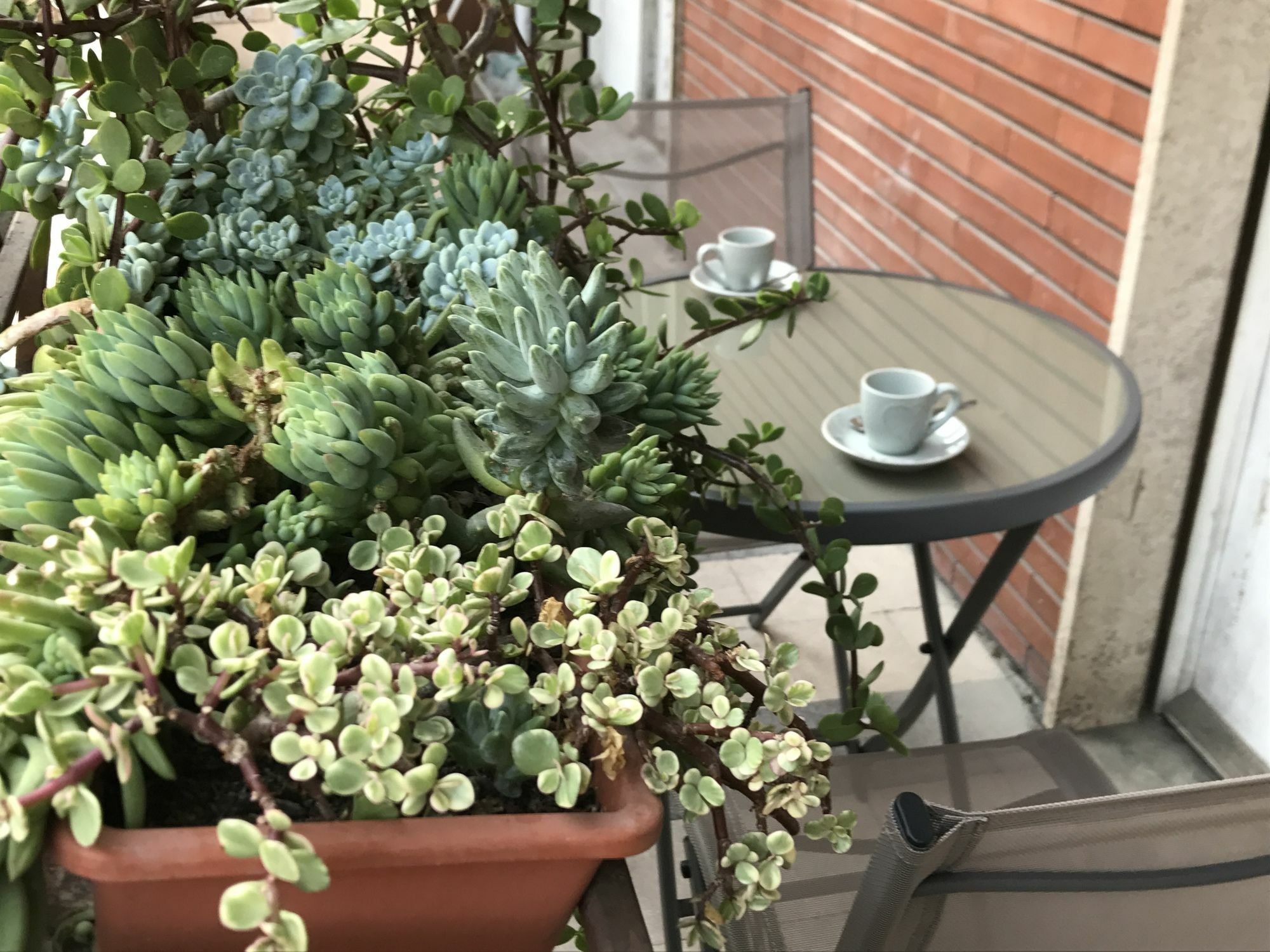 Pardis Guest House Rome Bagian luar foto