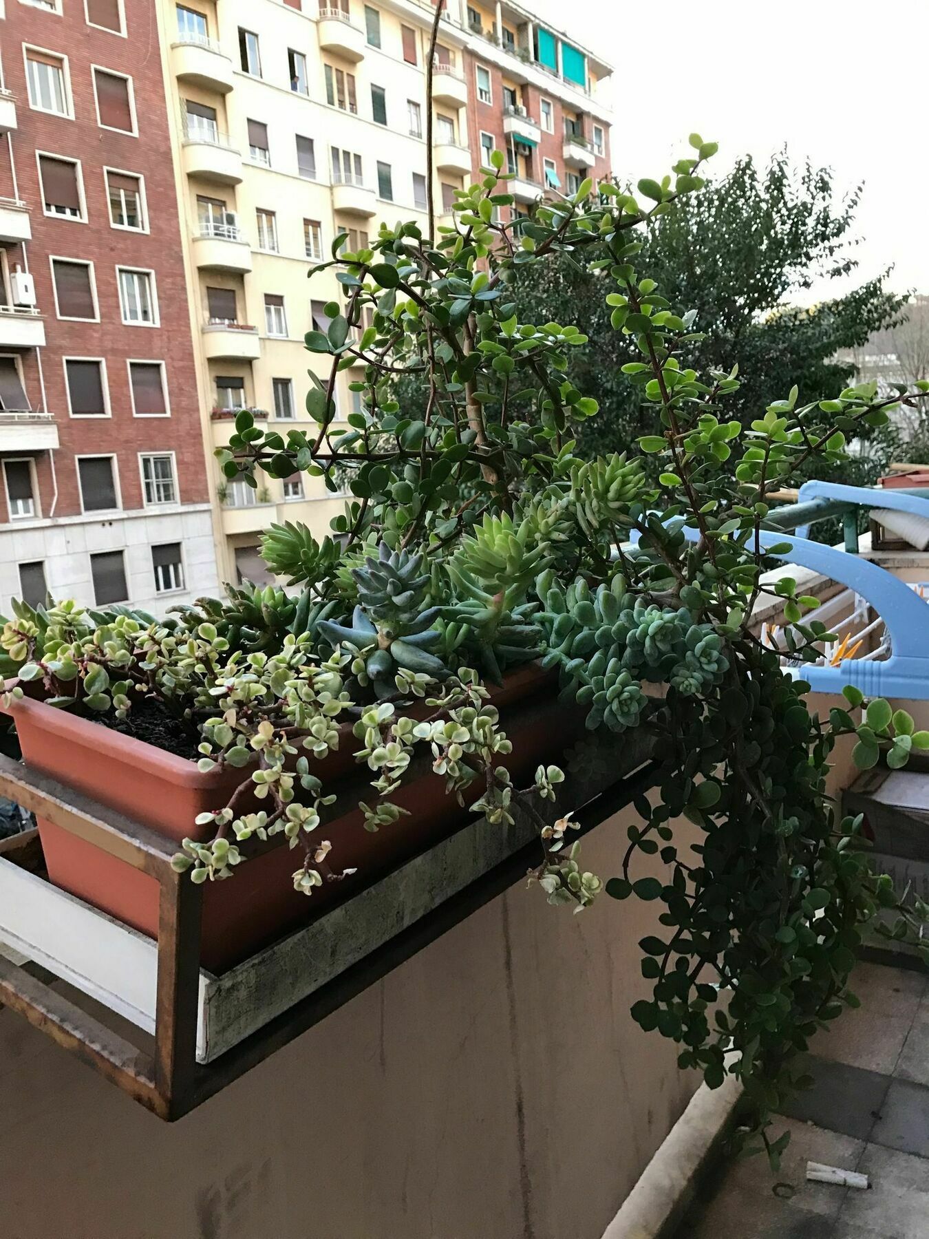 Pardis Guest House Rome Bagian luar foto